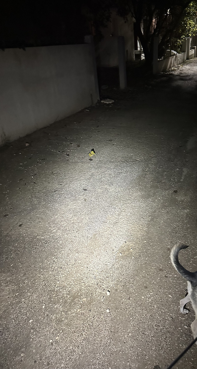 NiteCore Επαναφορτιζόμενος Φακός Μπρελόκ LED IP66 με Μέγιστη Φωτεινότητα 300lm TIKI