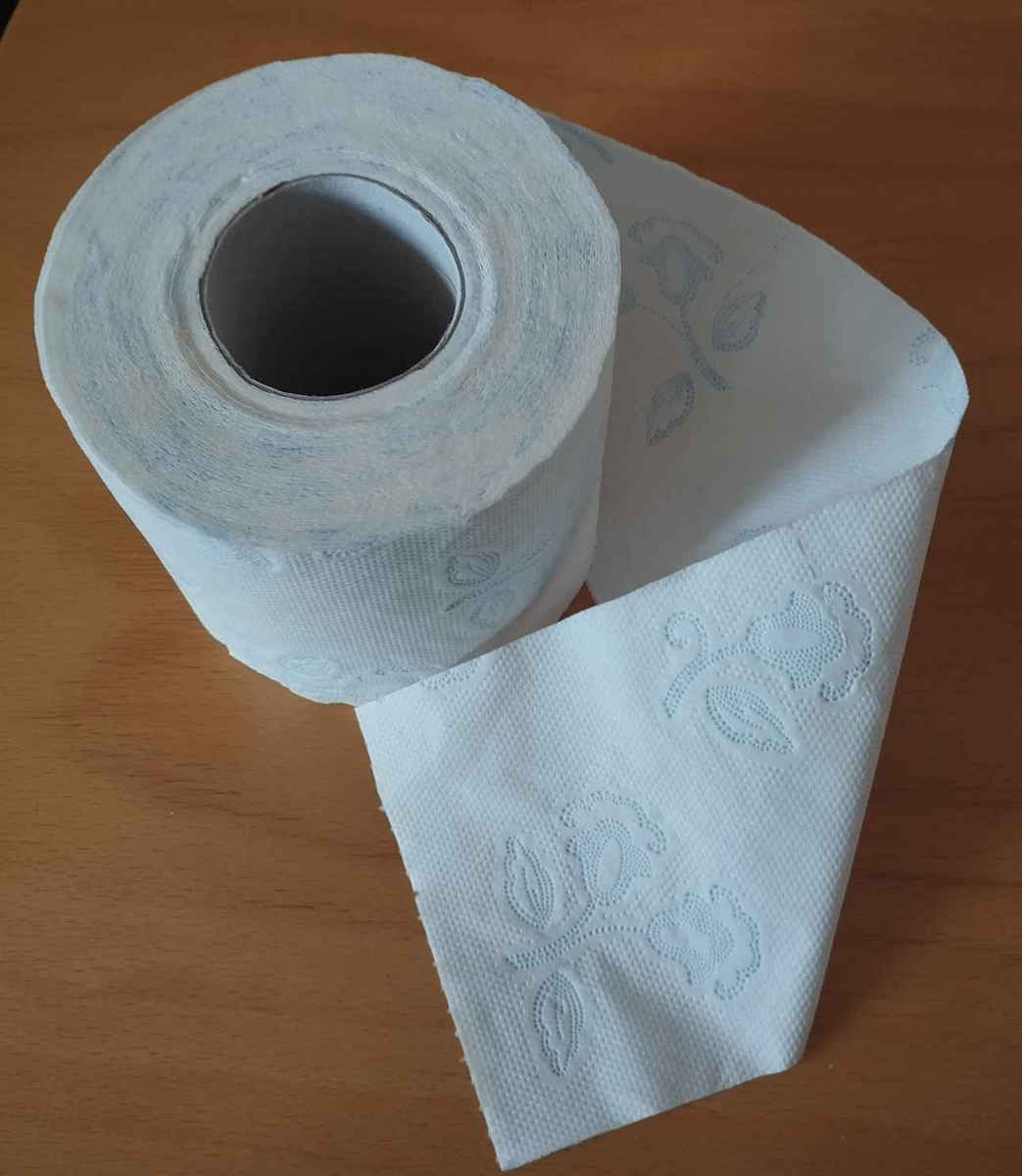 Maxi Deco Χαρτί Υγείας 10 Ρολά 3 Φύλλων (100gr/Ρολό)
