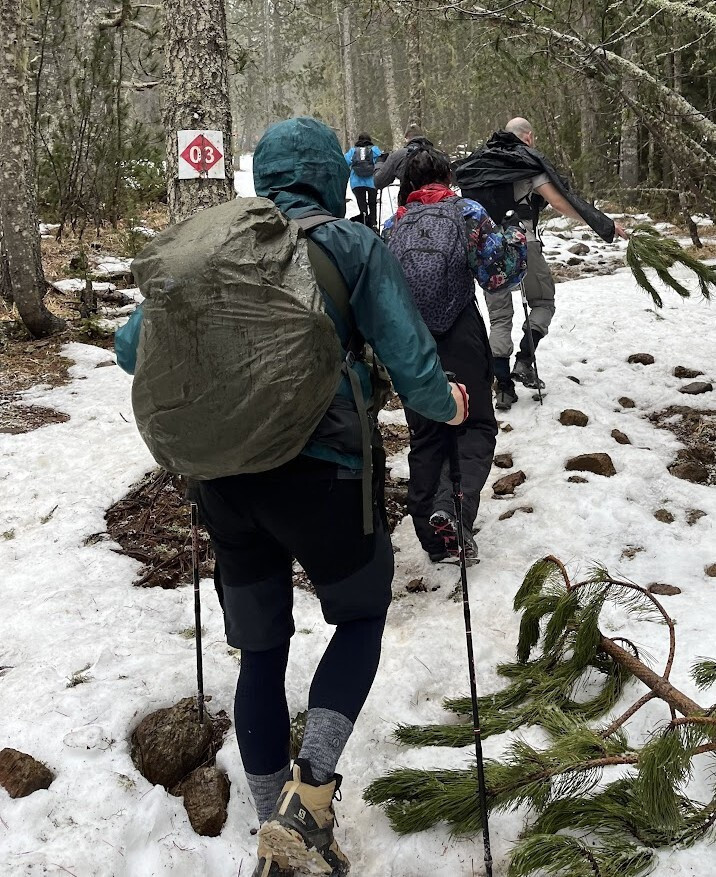Lowepro Τσάντα Πλάτης Φωτογραφικής Μηχανής Flipside Trek BP 450 AW σε Γκρι Χρώμα