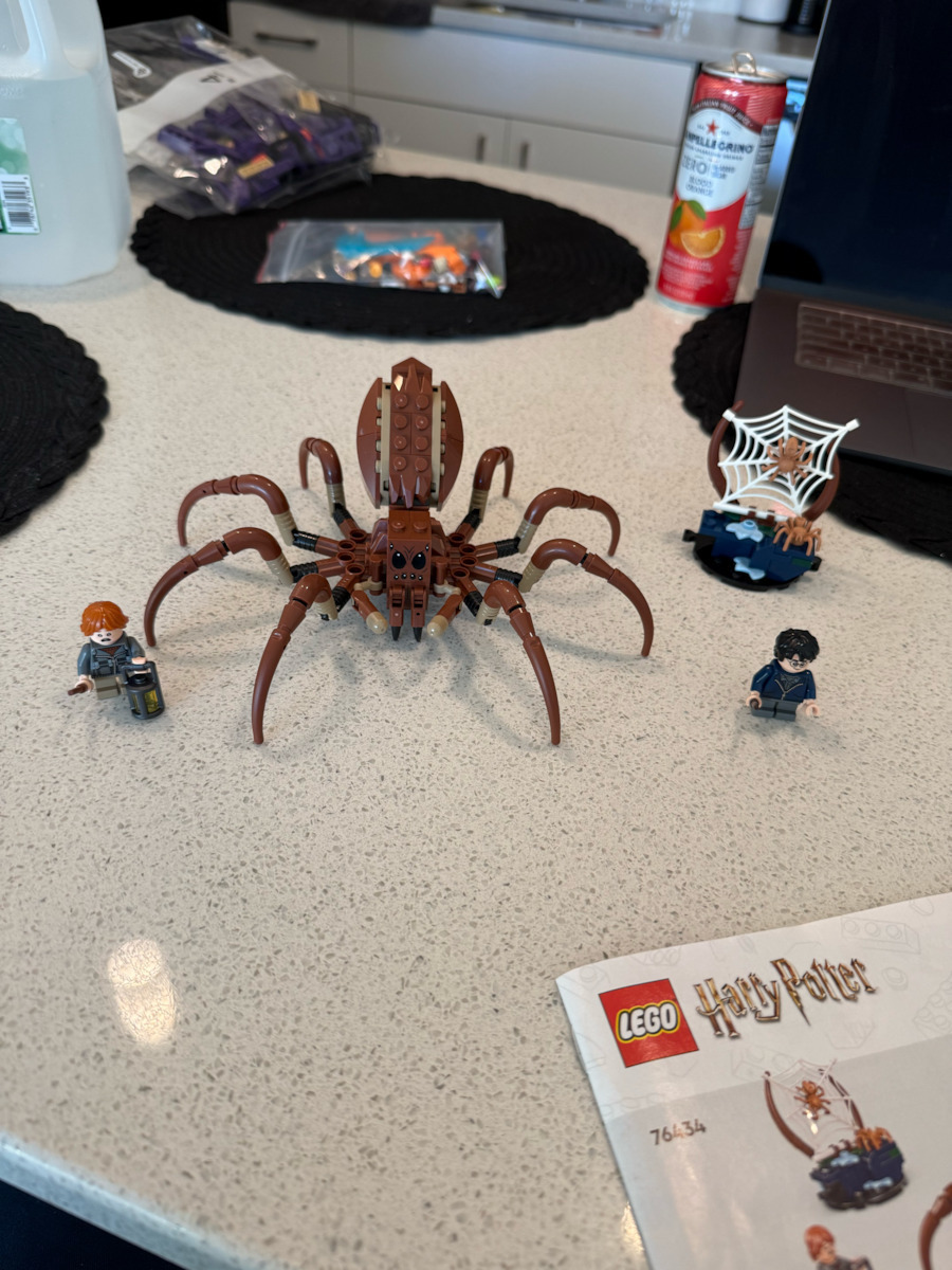 LEGO Harry Potter Aragog In Der Verbotenen Wald Für 7+ Jahre 195 Stück