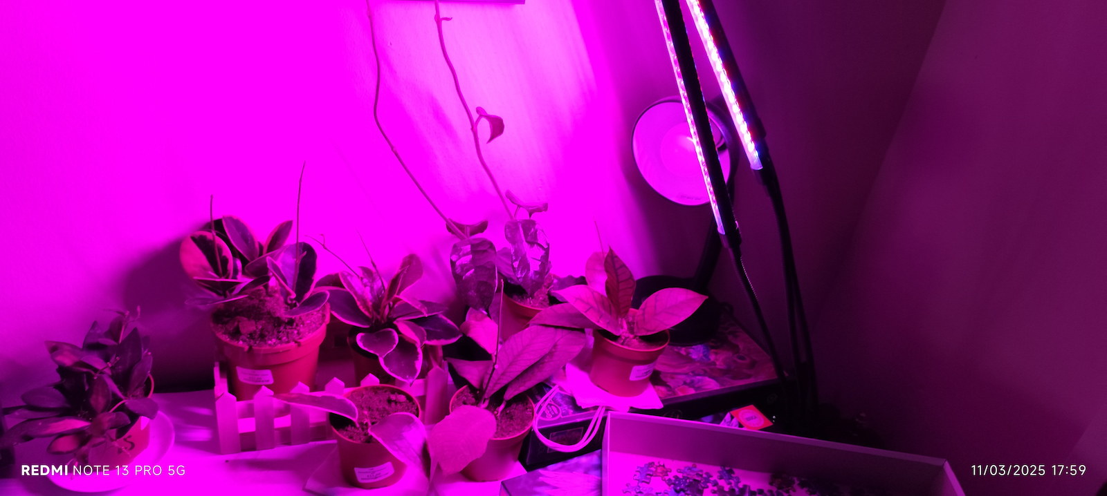 Gardlov Επιτραπέζιο Grow Light με 40 LED και Ισχύ 20W