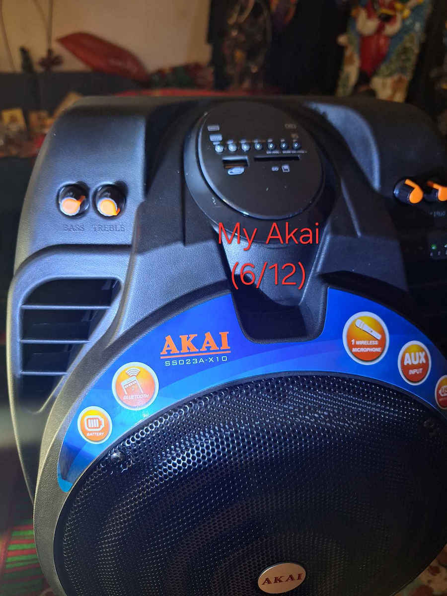 Akai Proffesional Karaoke-Lautsprecher mit Kabellosem Mikrofon SS023A-X10 SS023A-X10 Schwarz