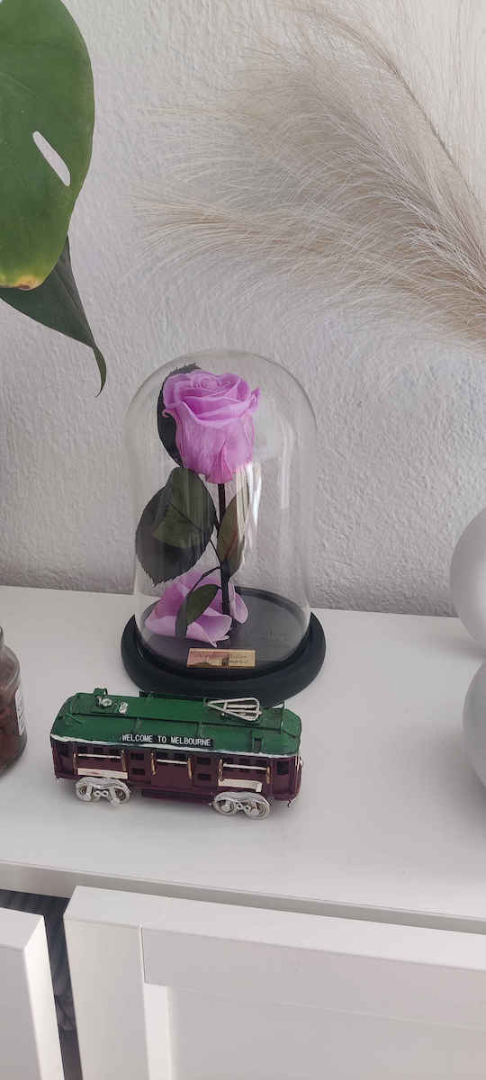 Παντοτινό Τριαντάφυλλο Μαύρο 22cm σε Γυάλα Aleiferopoulos Flowers