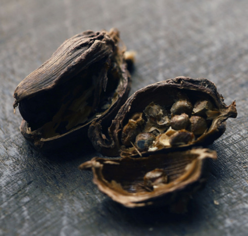MPACHARADIKO Cardamom 50gr