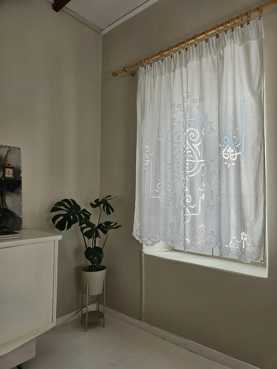 Agrosmart Monstera Höhe 60cm