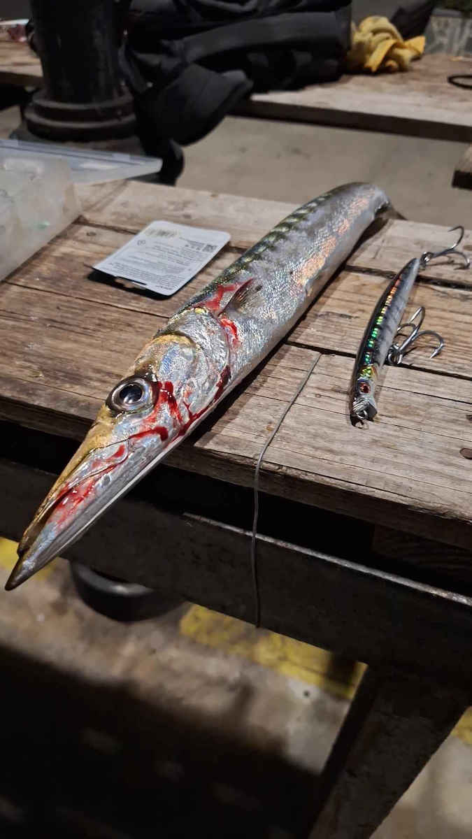 Savage Gear Deep Walker 2.0 Artificial Bait Minnow No4 17.5cm/39gr PWY