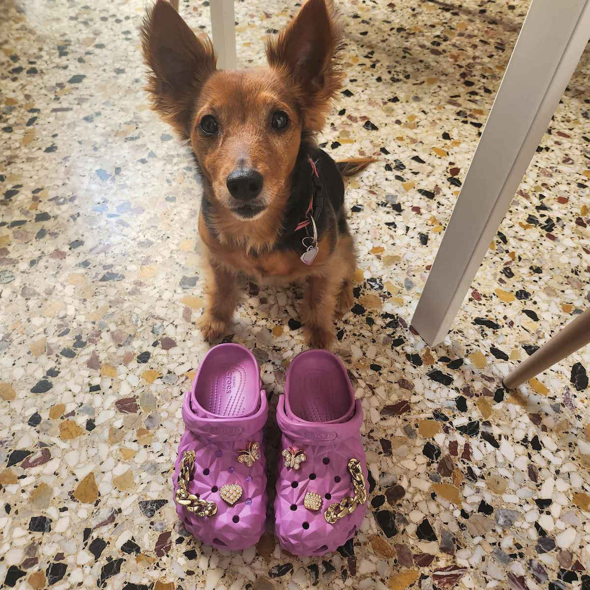 Crocs Classic Geometric Clog Women's Anatomic Clogs Purple