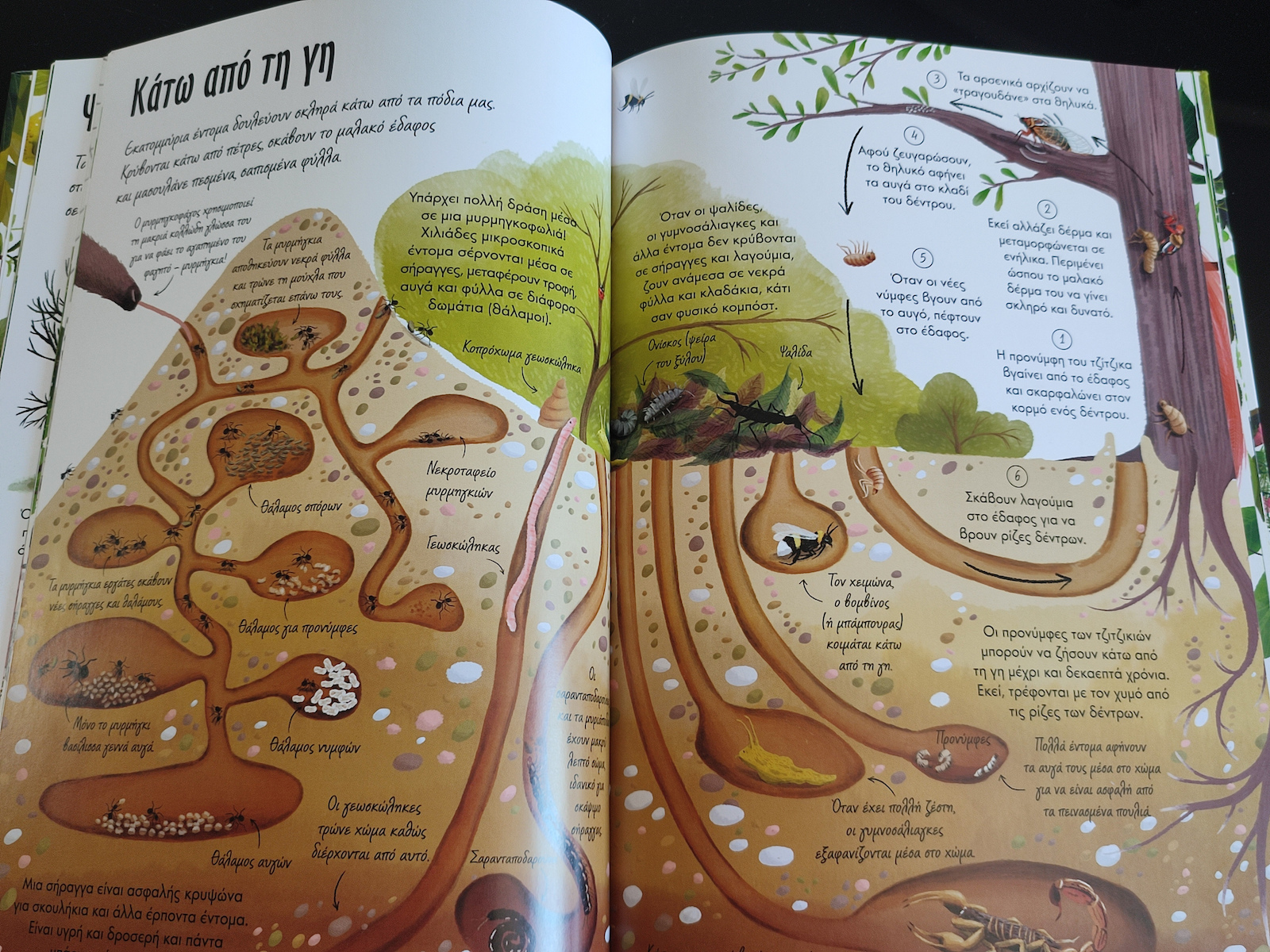 Das große Buch der Natur