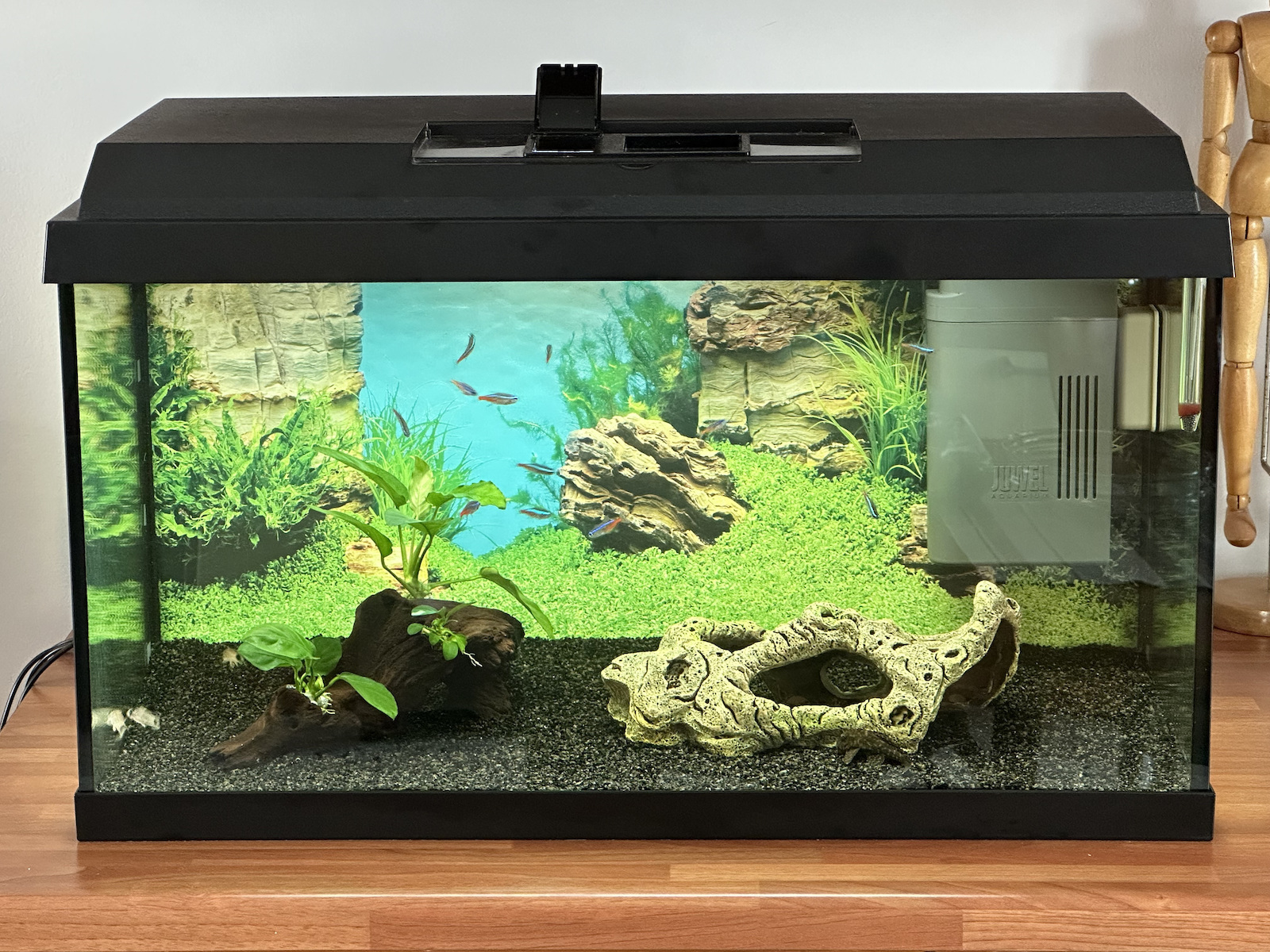 Juwel Double Face Aquarium Decoration Poster 19177