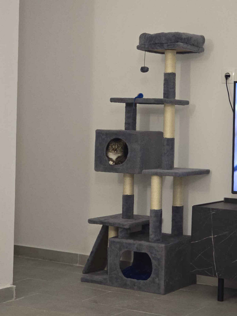 eBest Ονυχοδρόμιο Γατόδεντρο Γκρι 55x40x150εκ.