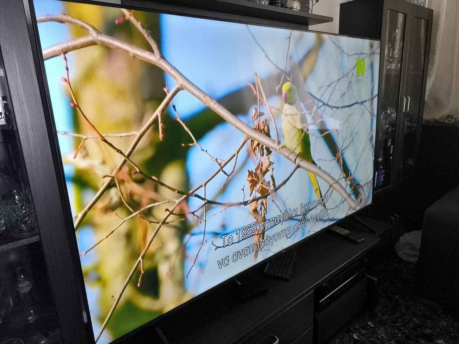 TCL Smart Τηλεόραση 75" 4K UHD LED P655 HDR (2024) 75P655