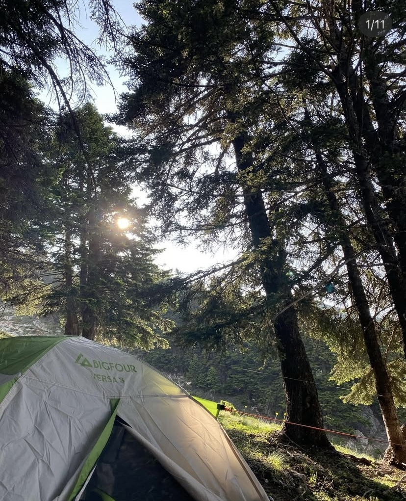 Bigfour Versa 3 Camping Tent Igloo Green with Double Cloth 3 Seasons for 3 People 205x205x135cm