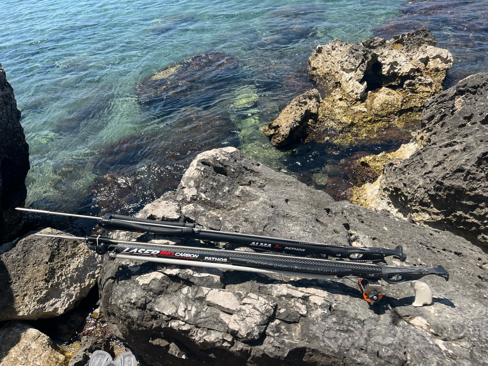 Pathos Speargun Rubber Alma 75cm