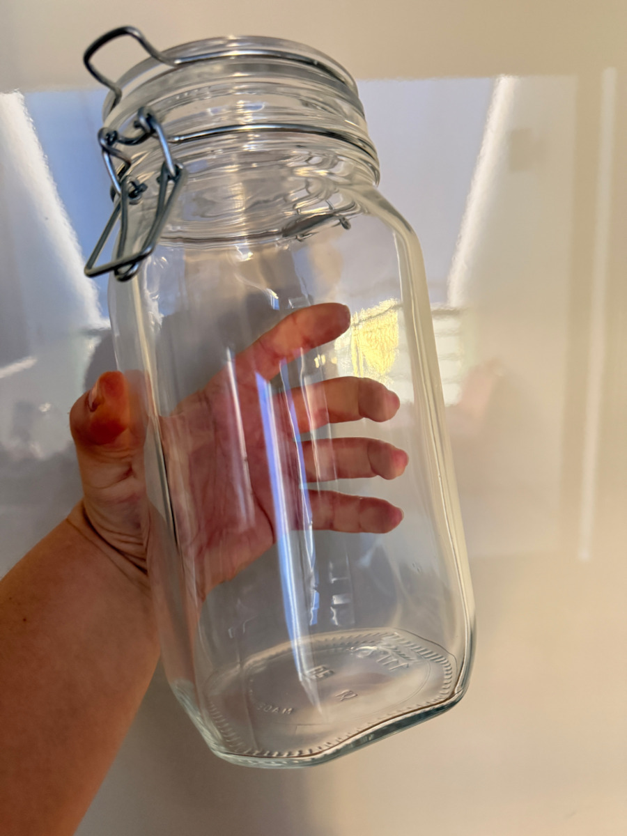 Bormioli Rocco Fido Vase General Use with Airtight Lid Glass Transparent 1500ml
