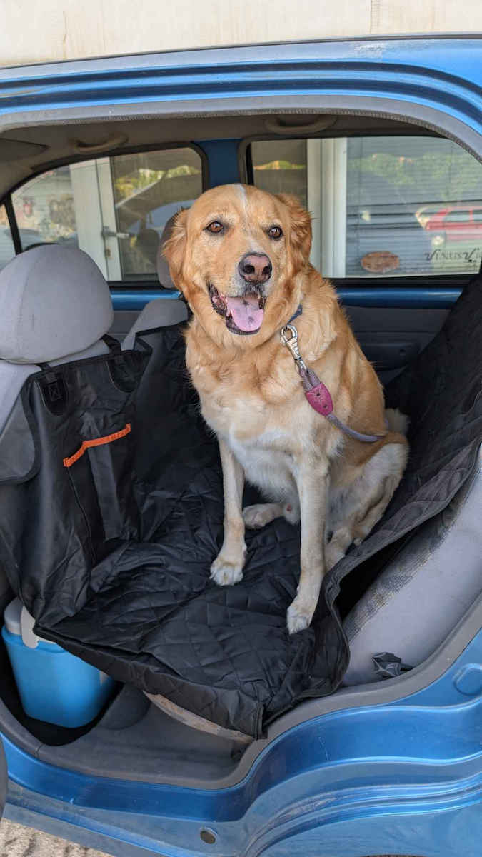 VSL Sports PetShield Pro Wasserdicht Sitzbezug Autozubehör für Hunde 140x209cm Schwarz