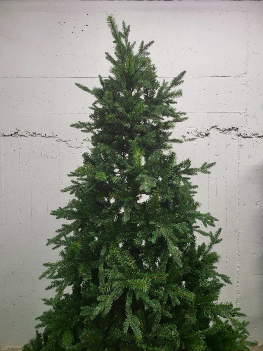 Christmas Tree Deaware Silver Fir 240cm with 3934 Branches