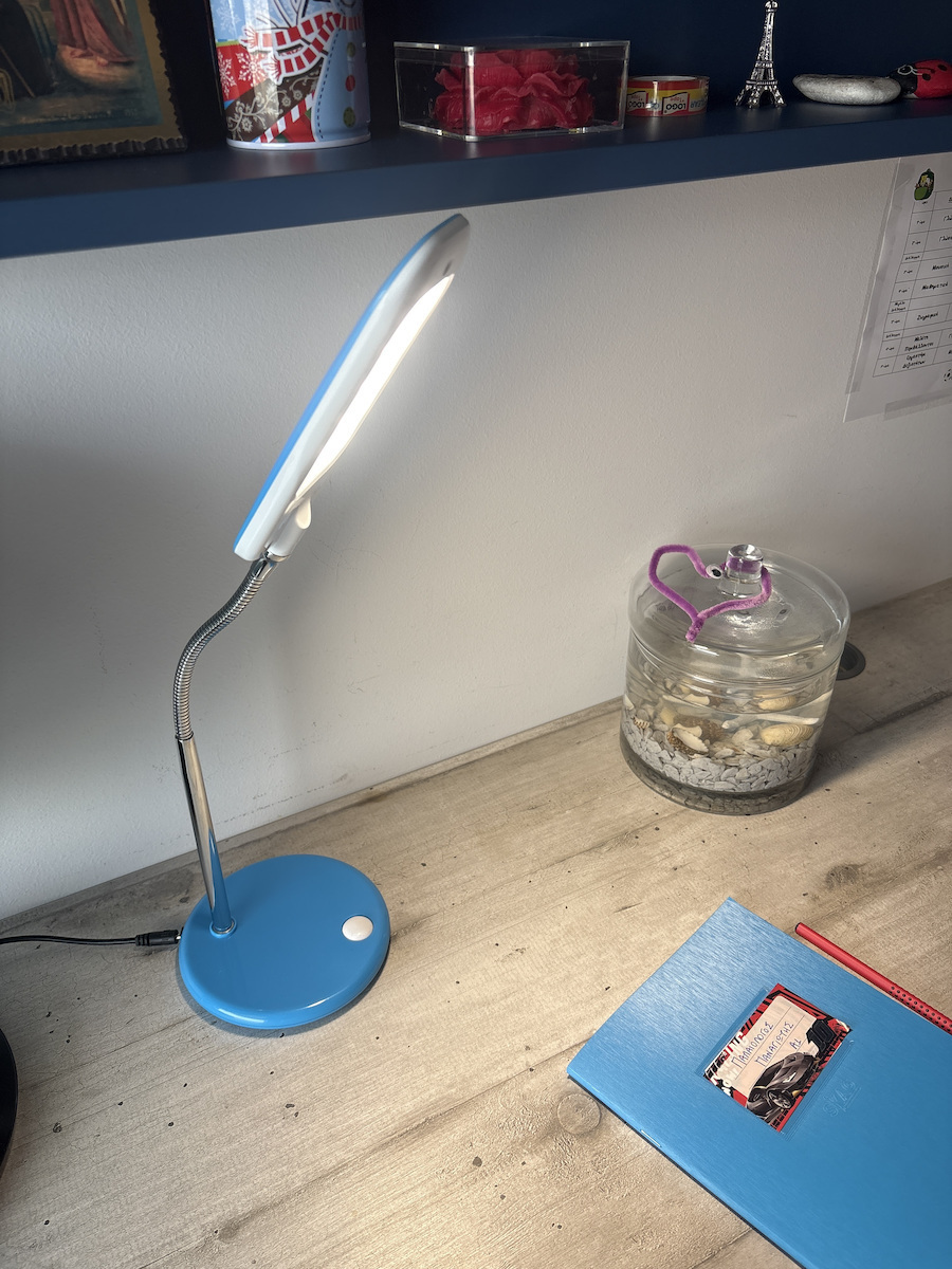 Aca Baz LED Office Lamp with Flexible Arm in Black Color