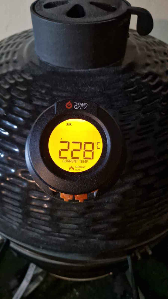Thermogatz At02 Wireless Electronical BBQ Thermometer with Probe and Bluetooth