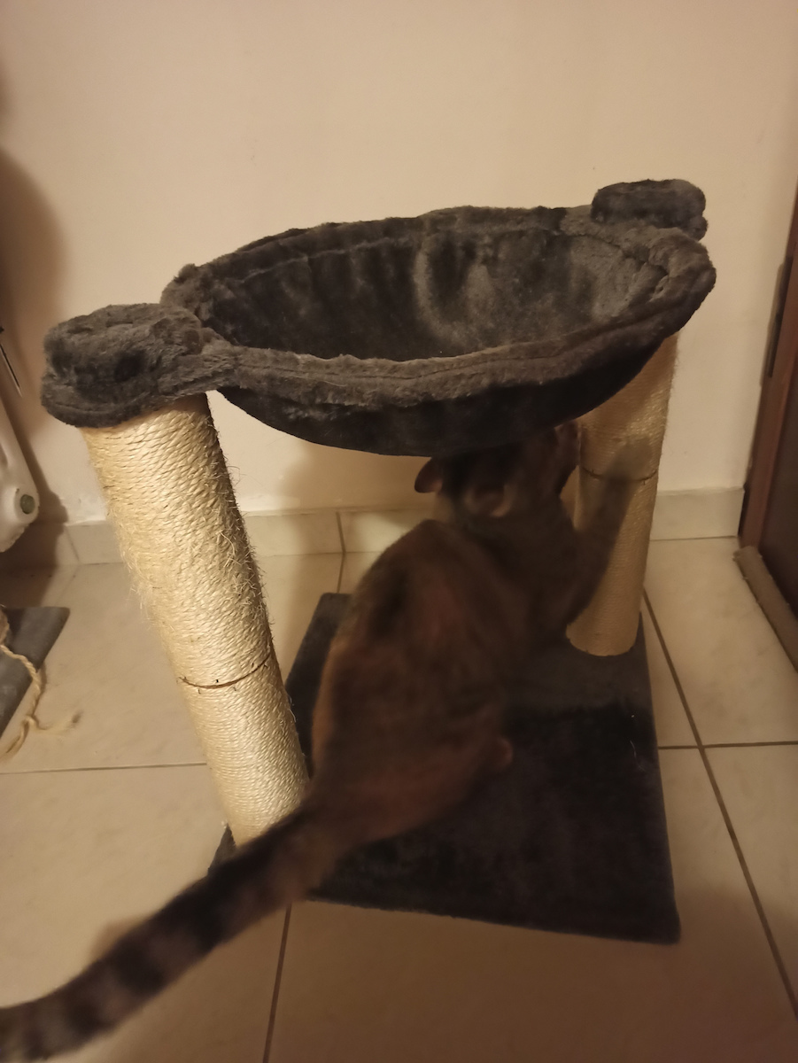 Animal Scratching Post Gray 40x40x51.5cm 25.06.16315