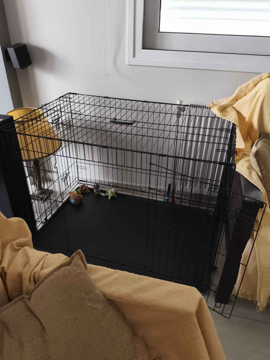 Glee Crate Restriction Medium Wire Dog Cage Medium with 2 Doors Black 75x46x53cm