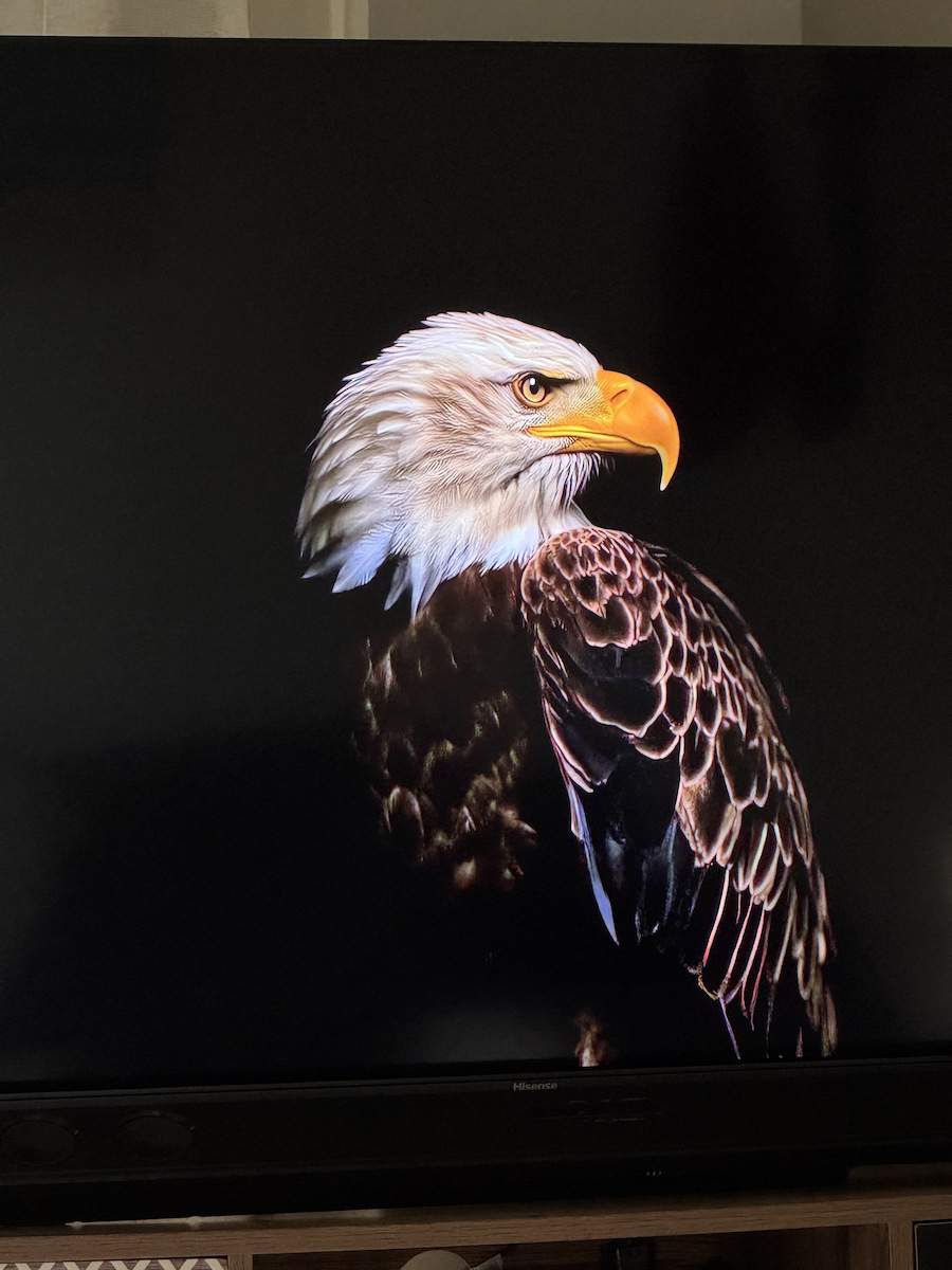 Hisense Smart Τηλεόραση 100" 4K UHD QLED E7N Pro HDR (2024) 100E7NQ PRO