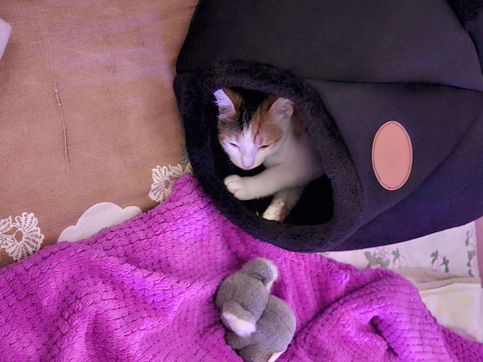 Purlov Nest Cat Black 40x40x37cm