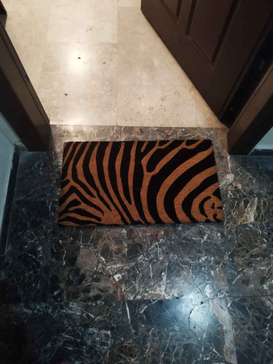 Zebra Entrance Mat 40x70 cm