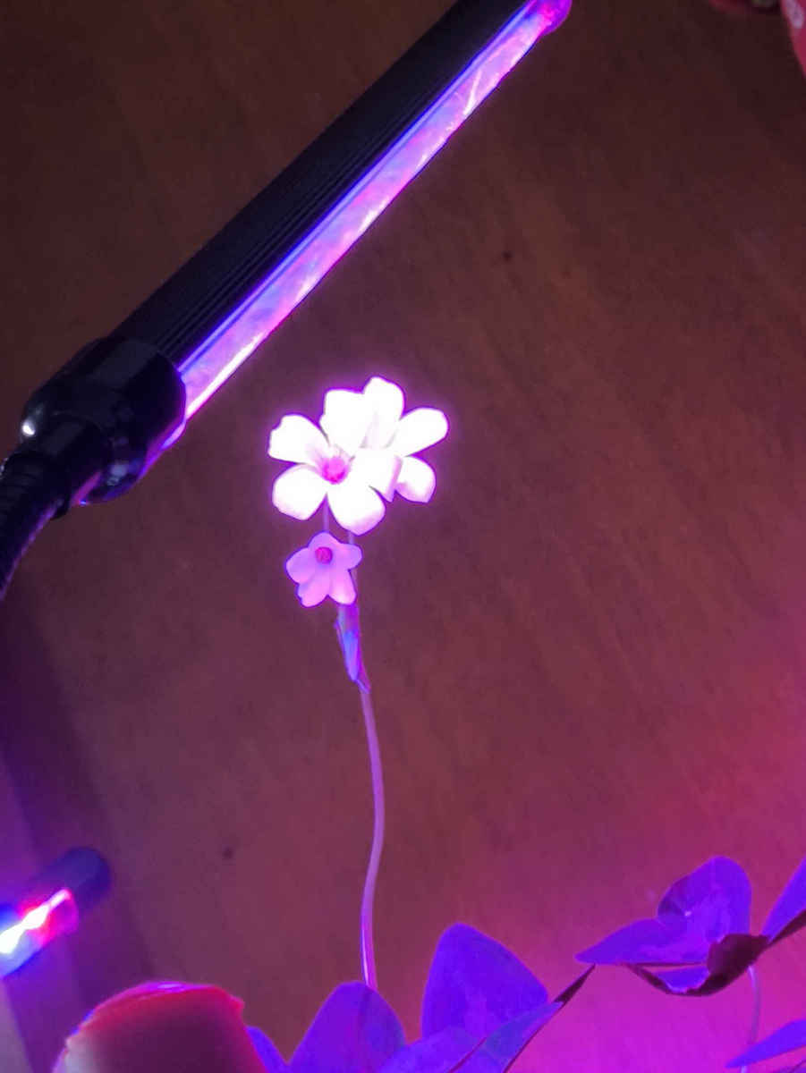 Gardlov Επιτραπέζιο Grow Light με 40 LED και Ισχύ 9W Μ68xΒ12xΥ7εκ.