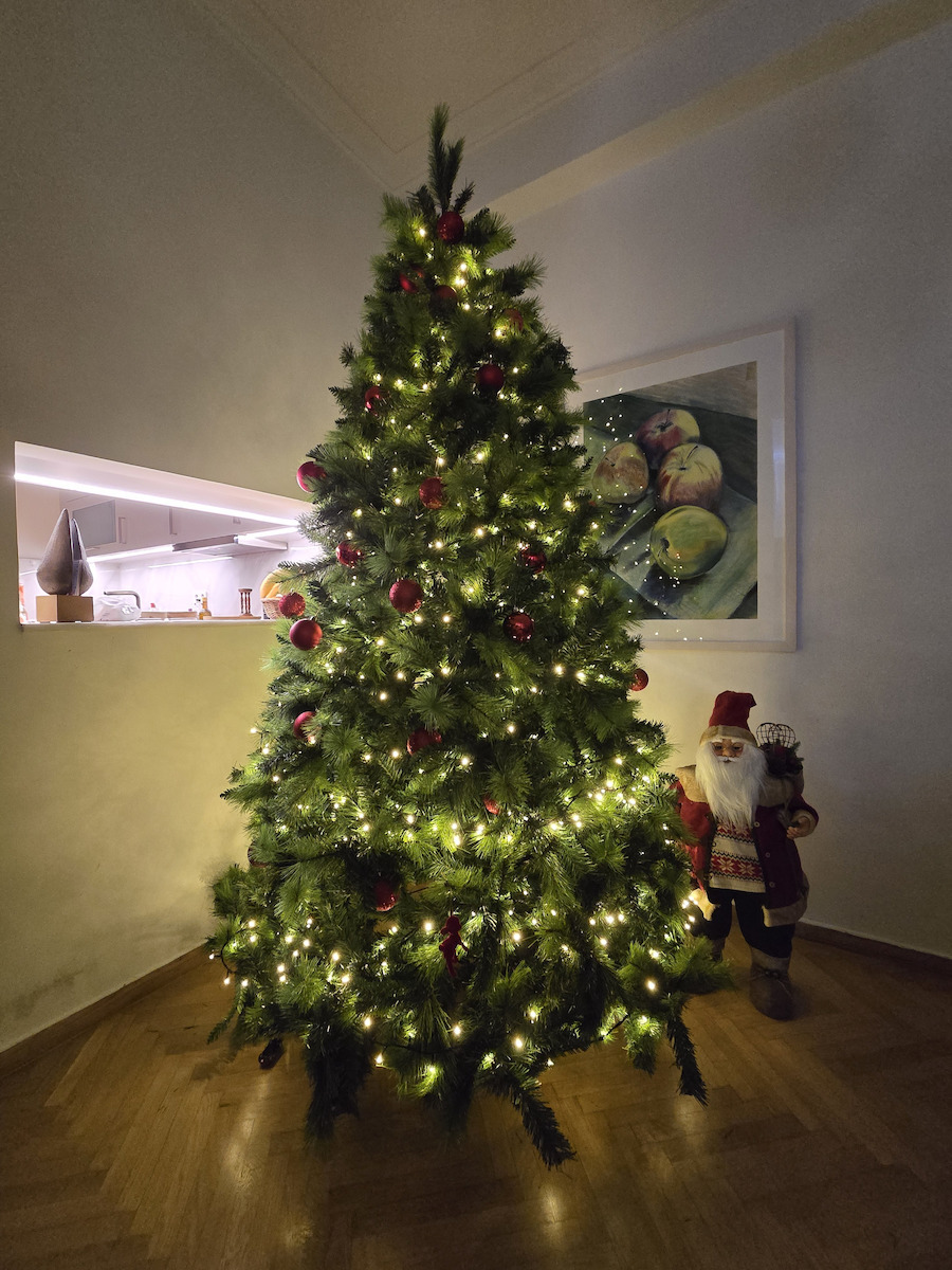 Christmas Tree Mixed Carolina 210cm with 1336 Branches