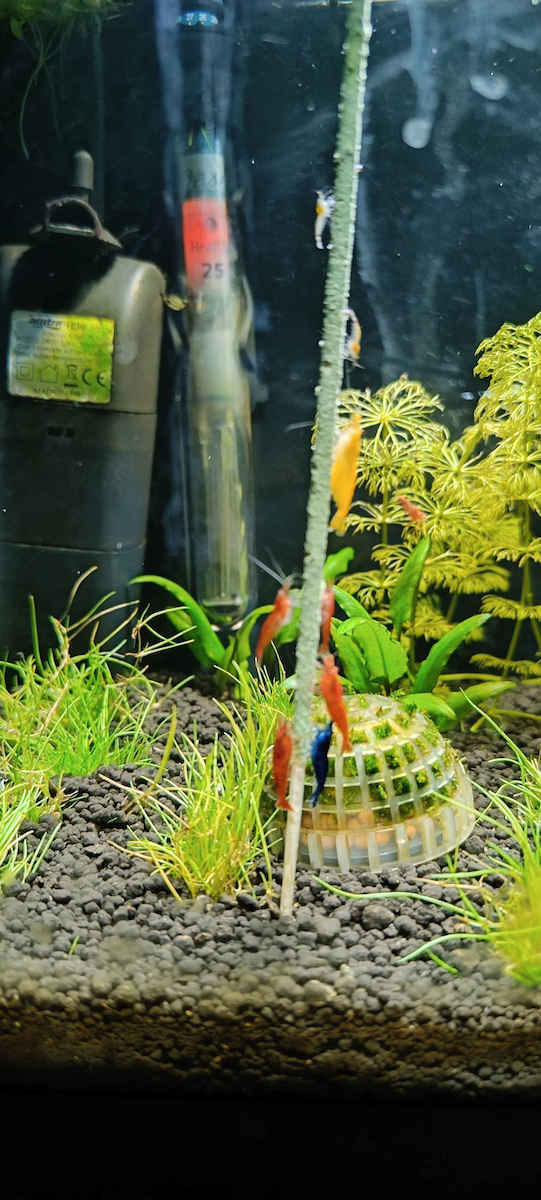 Dennerle Shrimp Soil Aquarium Soils / Substrates 8lt