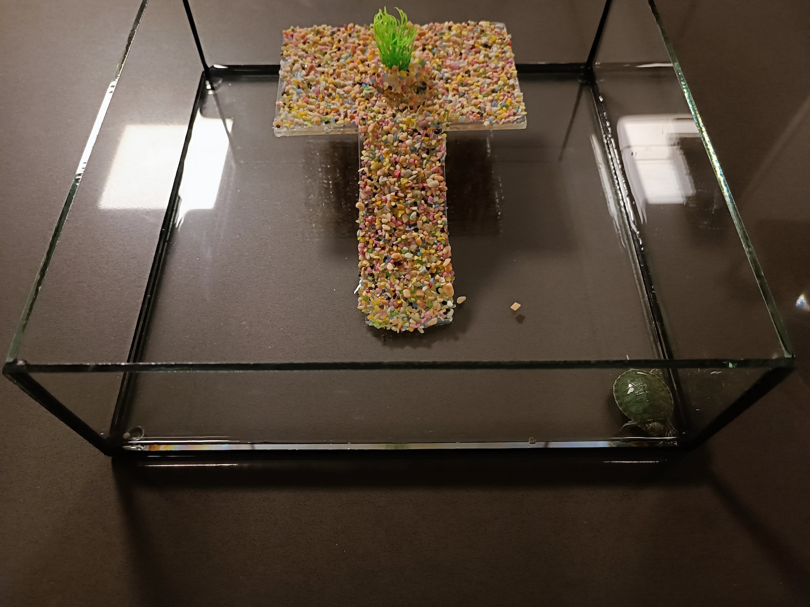 Greek Colal Fish Reptiles Terrarium 30x30x10cm