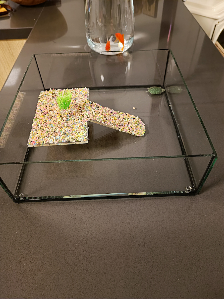 Greek Colal Fish Reptiles Terrarium 30x30x10cm
