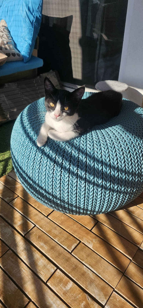 Stool Outdoor Cosy Blue 57x57x31cm