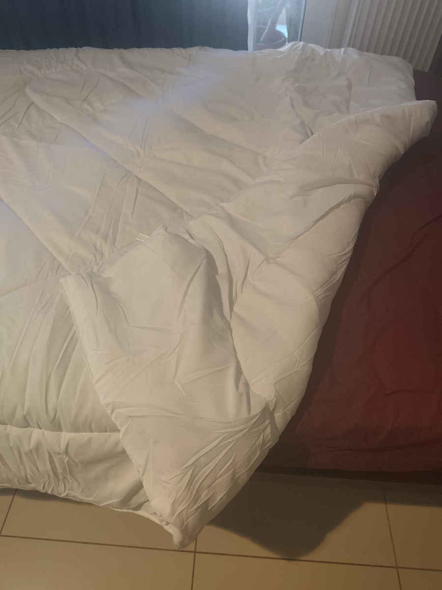 Palatex Duvet Double with Microfiber Filling 200x200cm White 300 GSMGsm