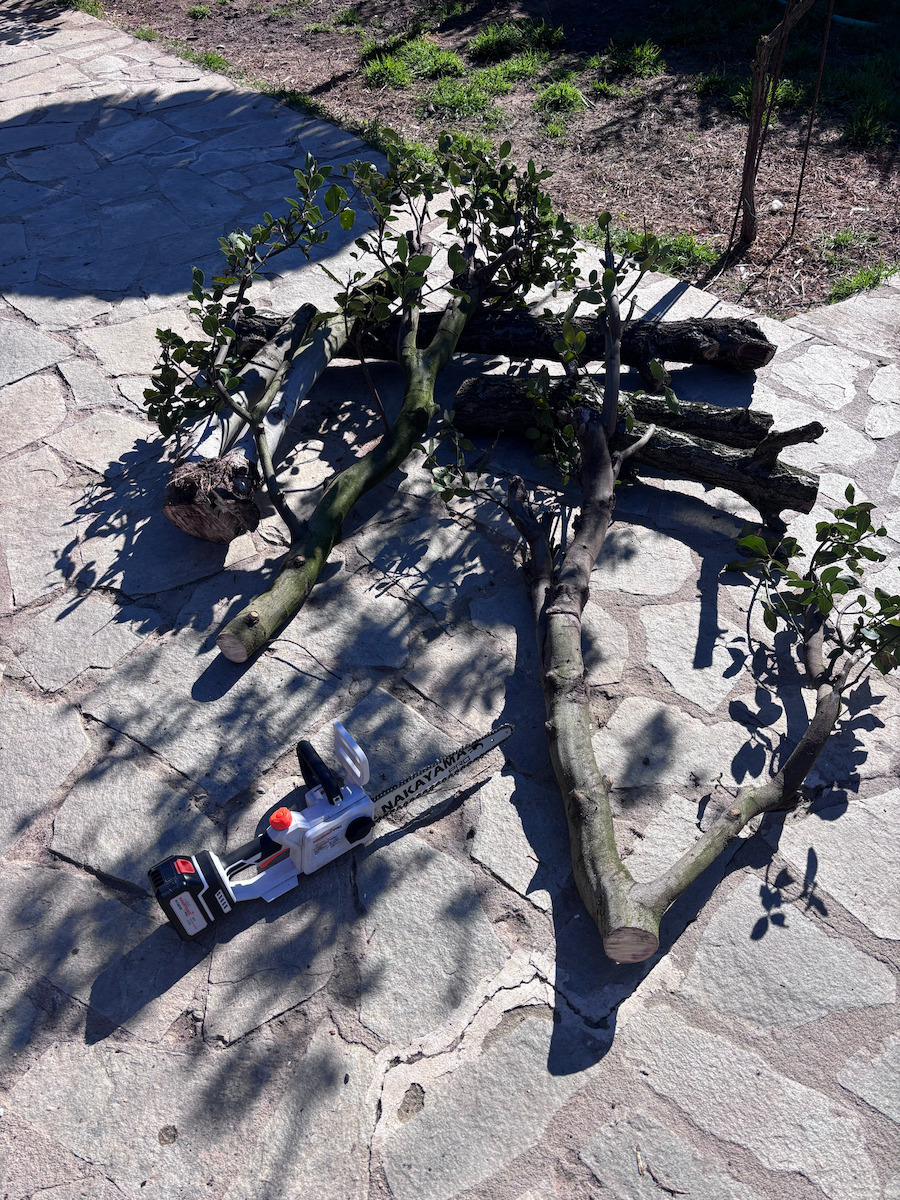 Nakayama EC1230 Battery Pruning Chainsaw 2x4Ah 21V 1.4kg with 30cm Blade