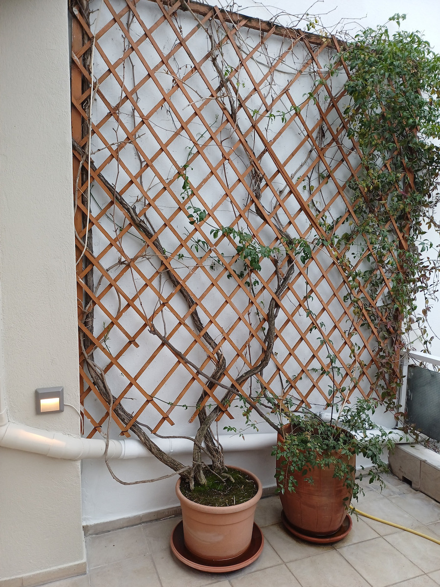 Aca Wall-Mounted Outdoor Spot Light LED IP65 2W with Warm White Light 12.5x12.5x12.5εκ.