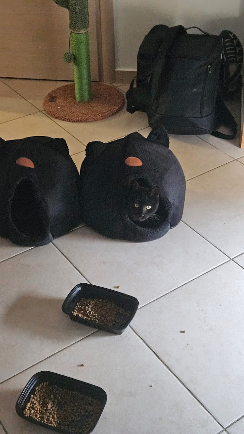 Purlov Nest Cat Black 40x40x37cm