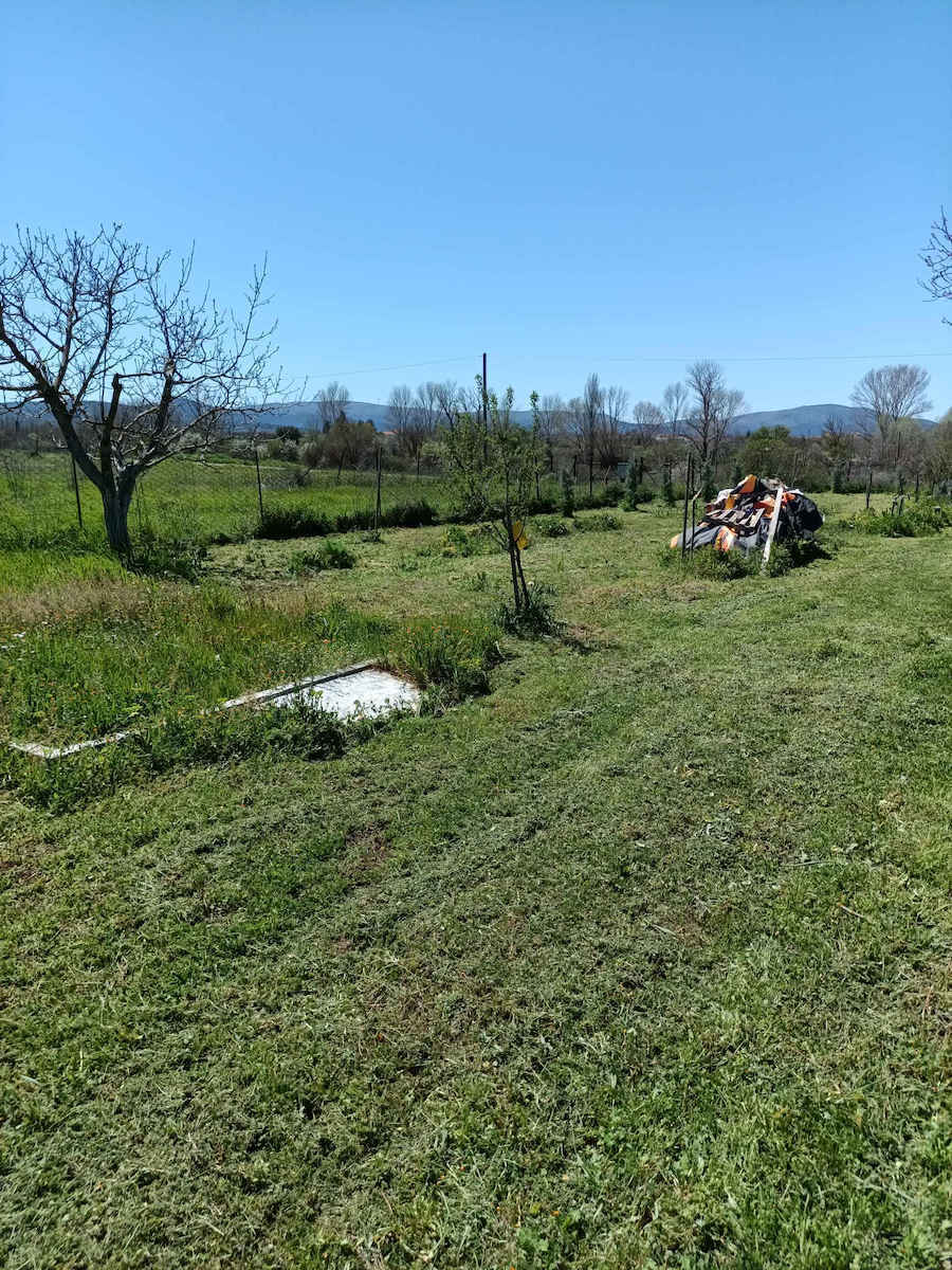 Texas Multi Cut 580H Tăietoare de iarbă Distrugător Benzină 5.6hp