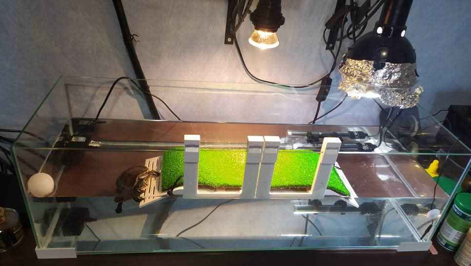Ciano Reptile Terrarium White