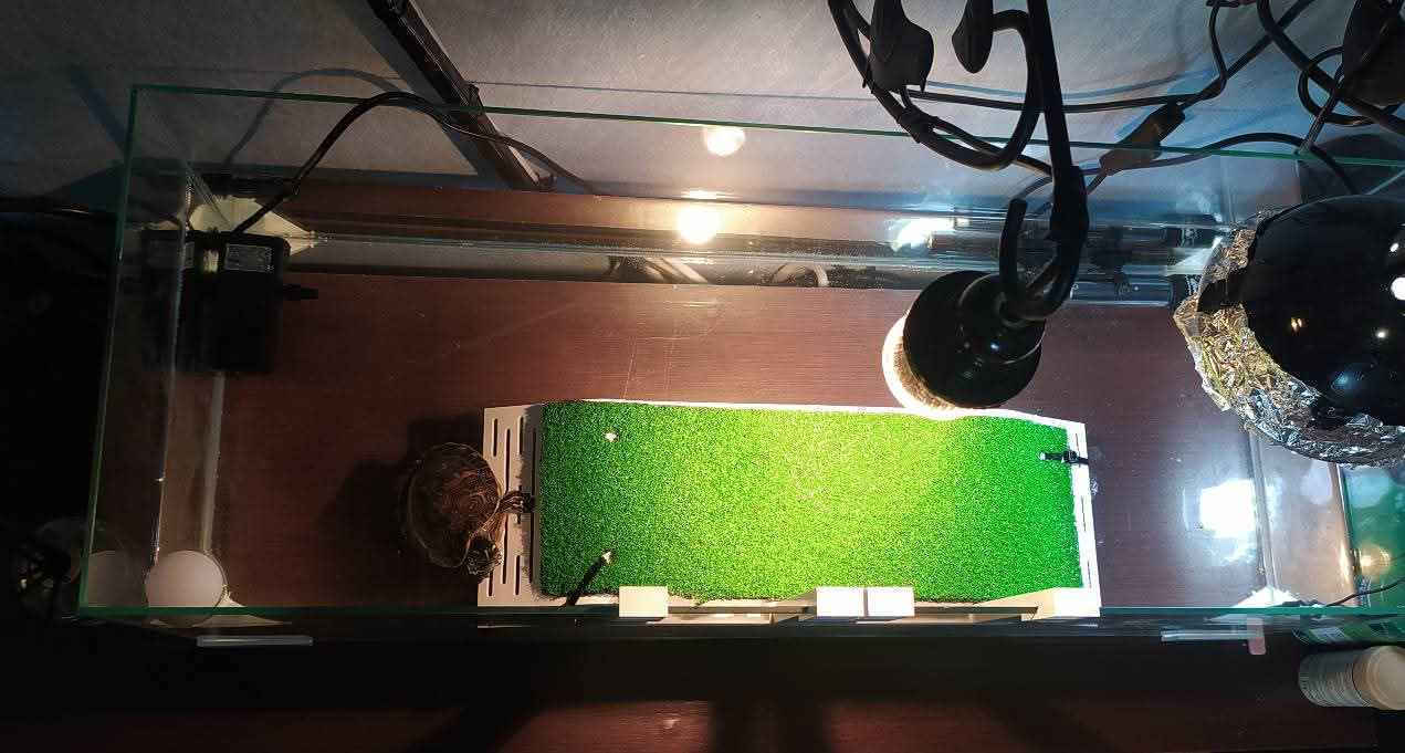 Ciano Reptile Terrarium White