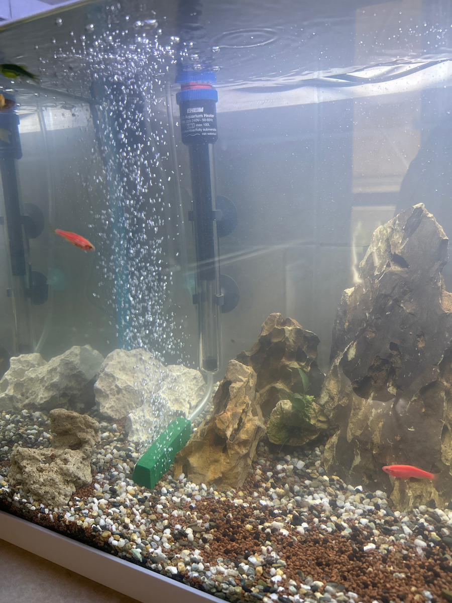Eheim Jager Aquarium Thermostat 75W