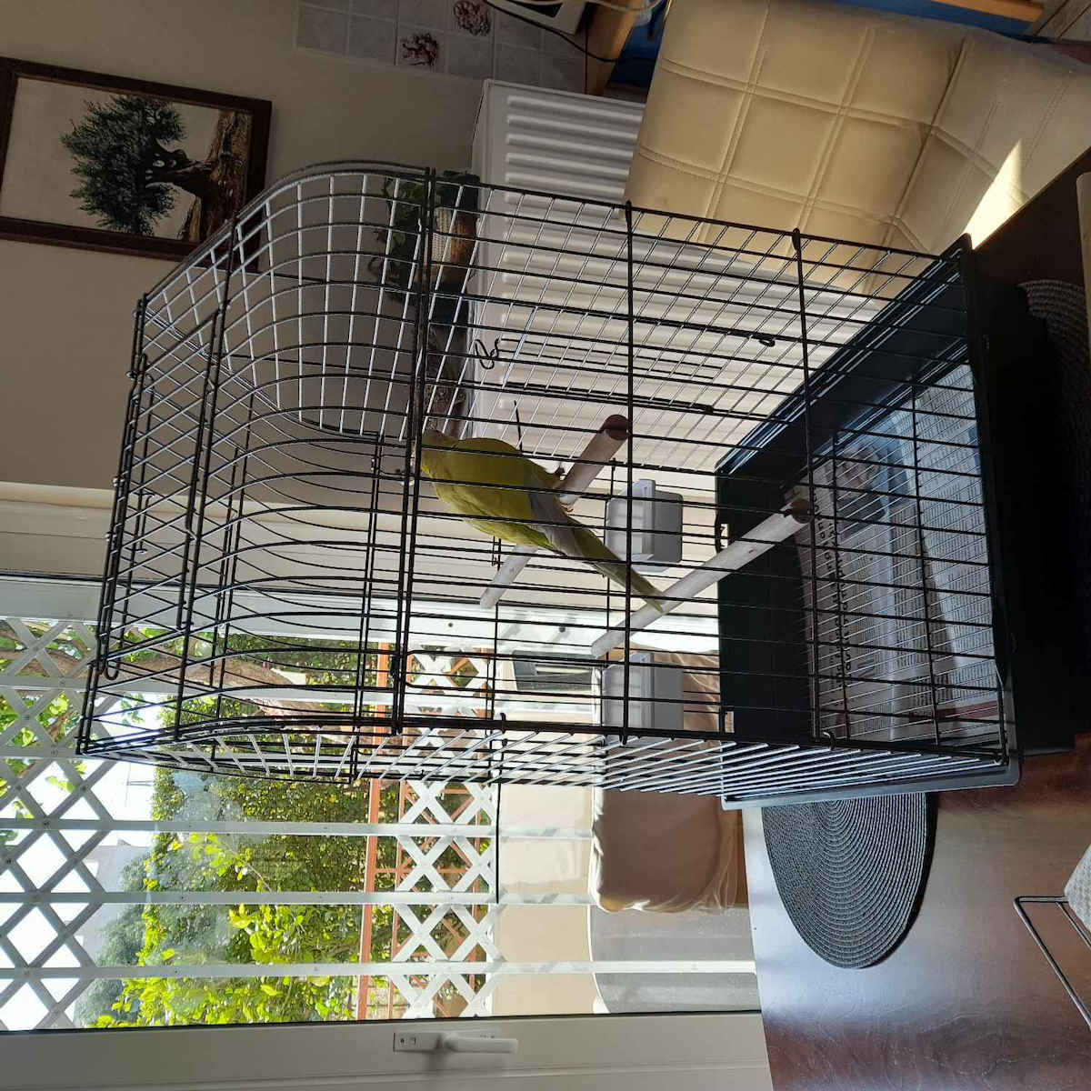 Wooden Bird Cage 52x41x73.5cm. Black
