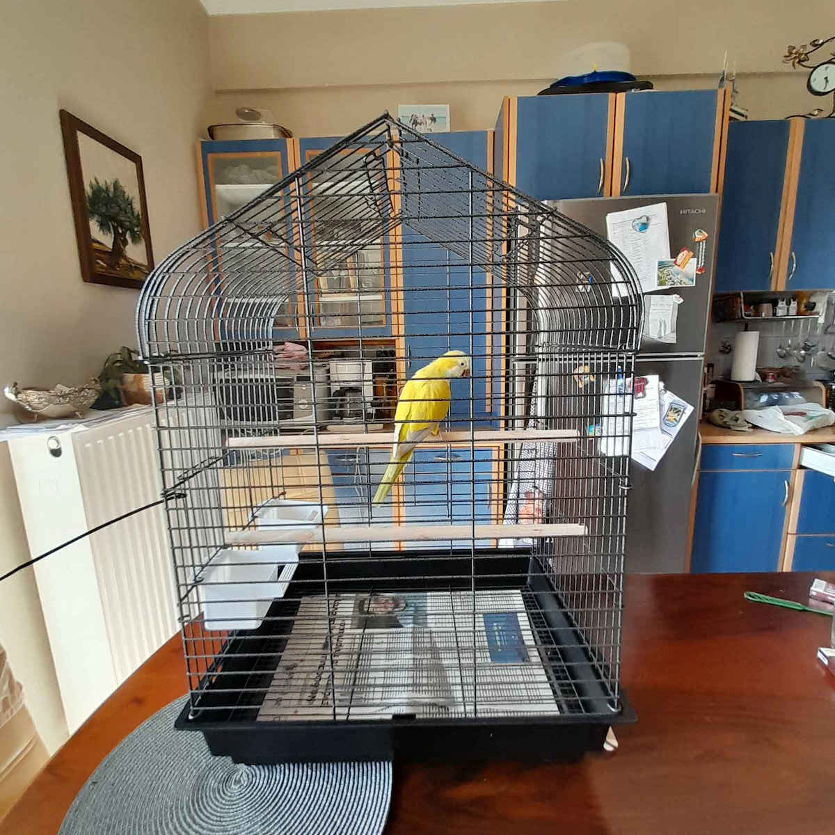 Wooden Bird Cage 52x41x73.5cm. Black