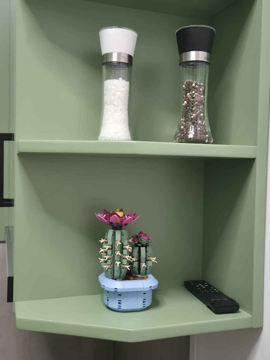 LEGO Botanical Collection Flowering Cactus για 9+ Ετών 482τμχ