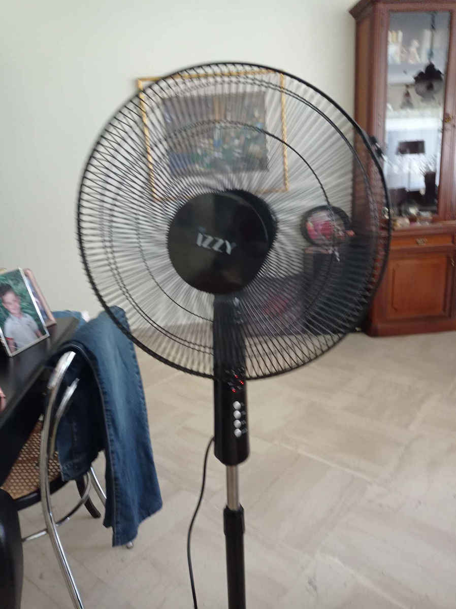 Izzy IZ-9002+ Pedestal Fan 70W Diameter 40cm with Remote Control Black