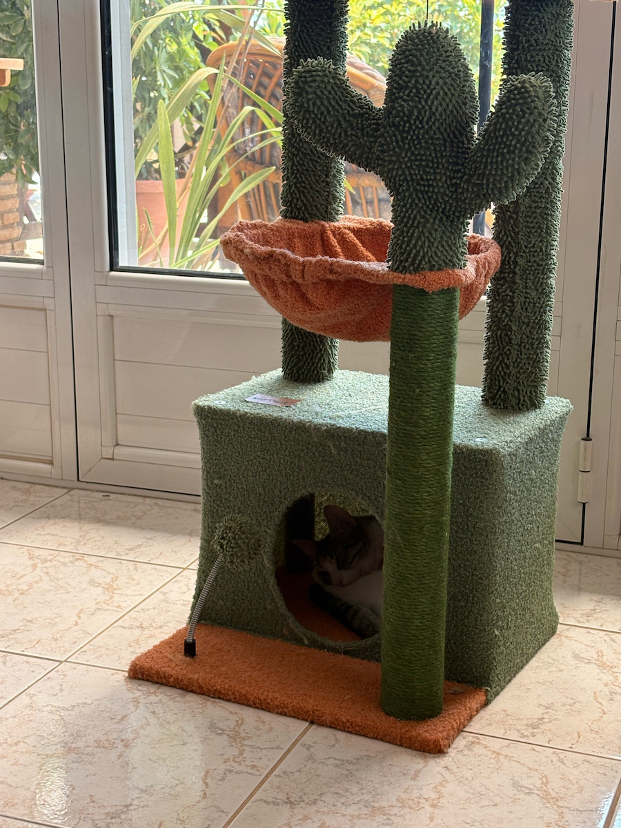 Animal Cactus Scratching Post Cat Trees Green 40x40x84cm