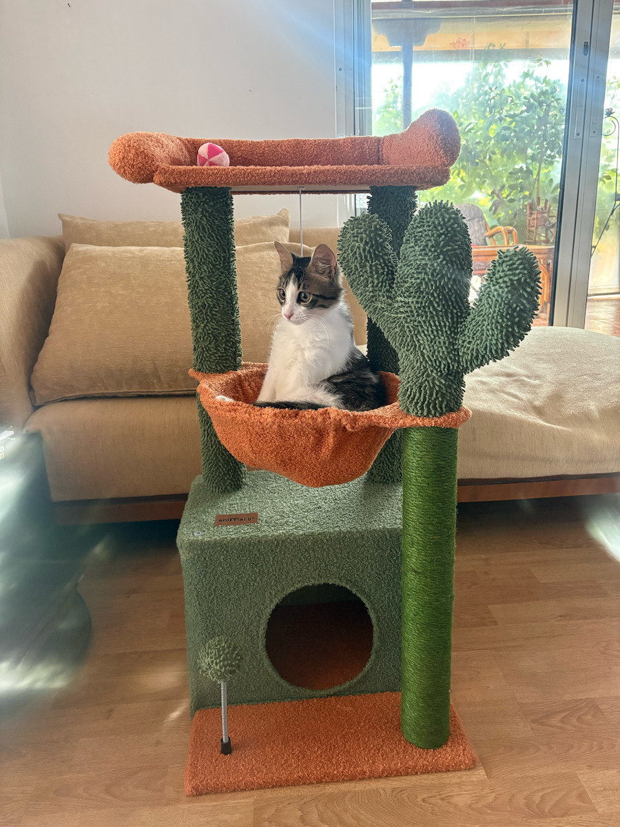 Animal Cactus Scratching Post Cat Trees Green 40x40x84cm