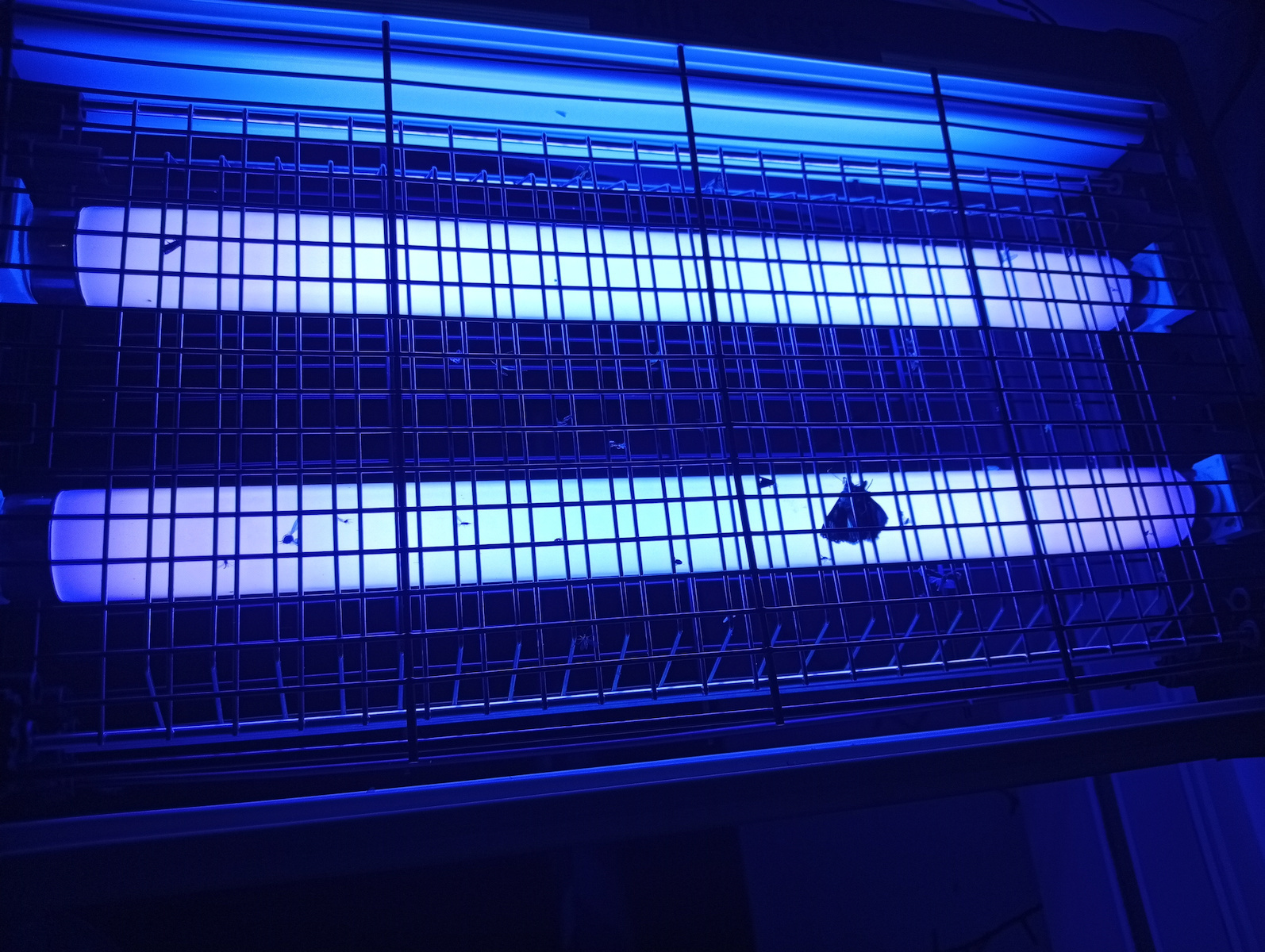 Ηλεκτρική Εντομοπαγίδα 20W 40m²