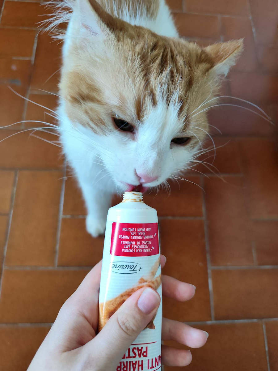 Brit Cat Anti Hairball Paste Paste for Hairball Care 100g 100g