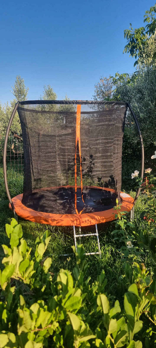 Costway Trampolină pentru copii Diametru 244cm cu Scară & Net